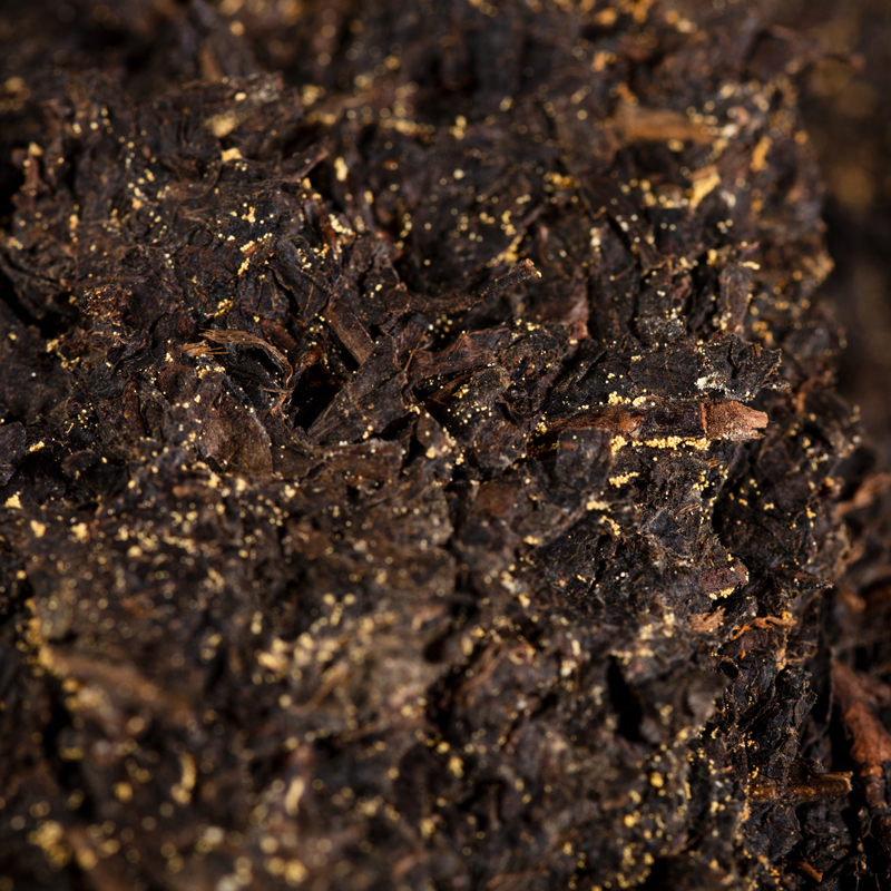 Guizhou Brick Tea Welcoming Guests