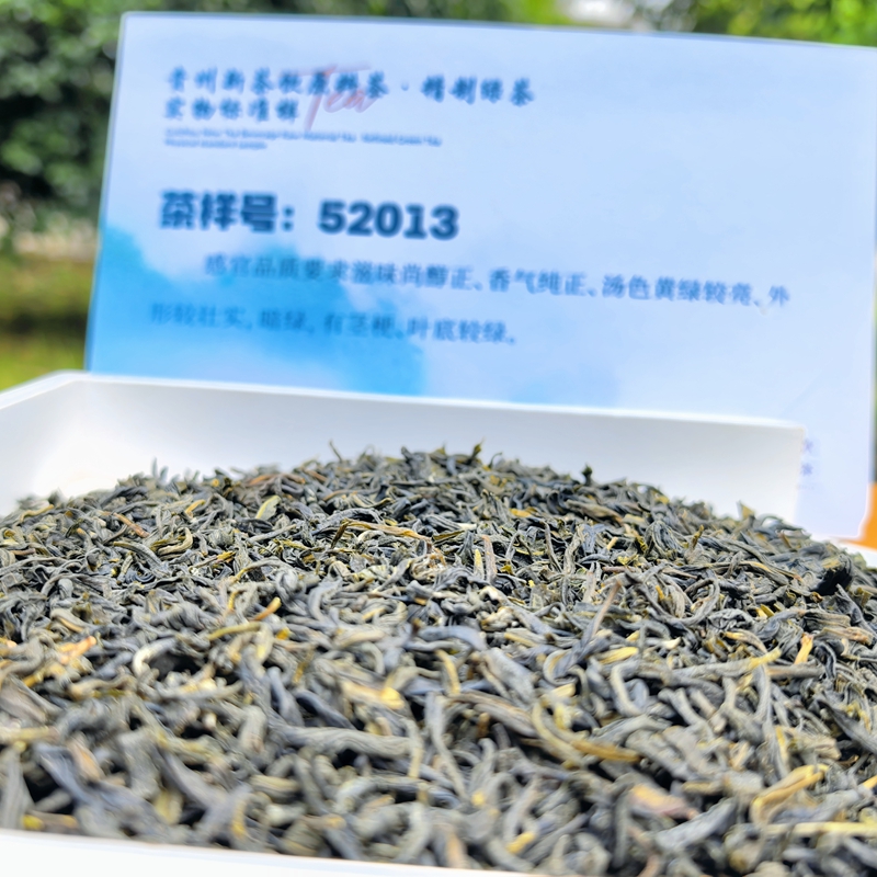 Guizhou Green Tea