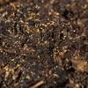 Qian Brick Tea No.1