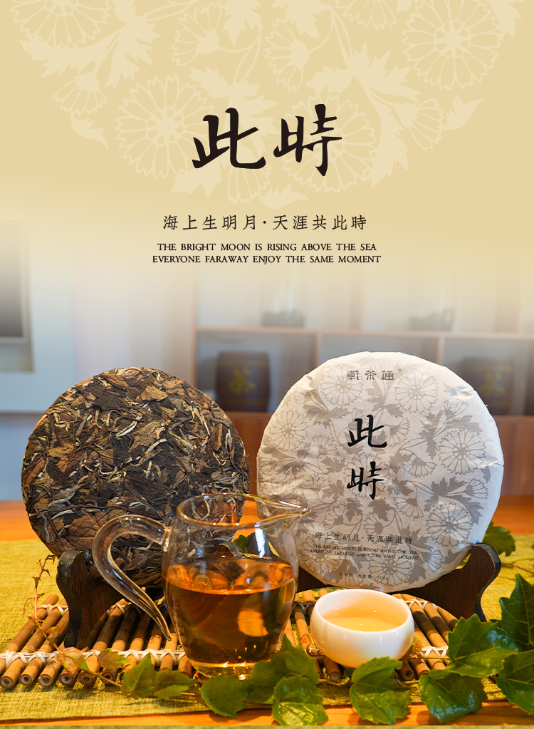 此时白茶饼_01