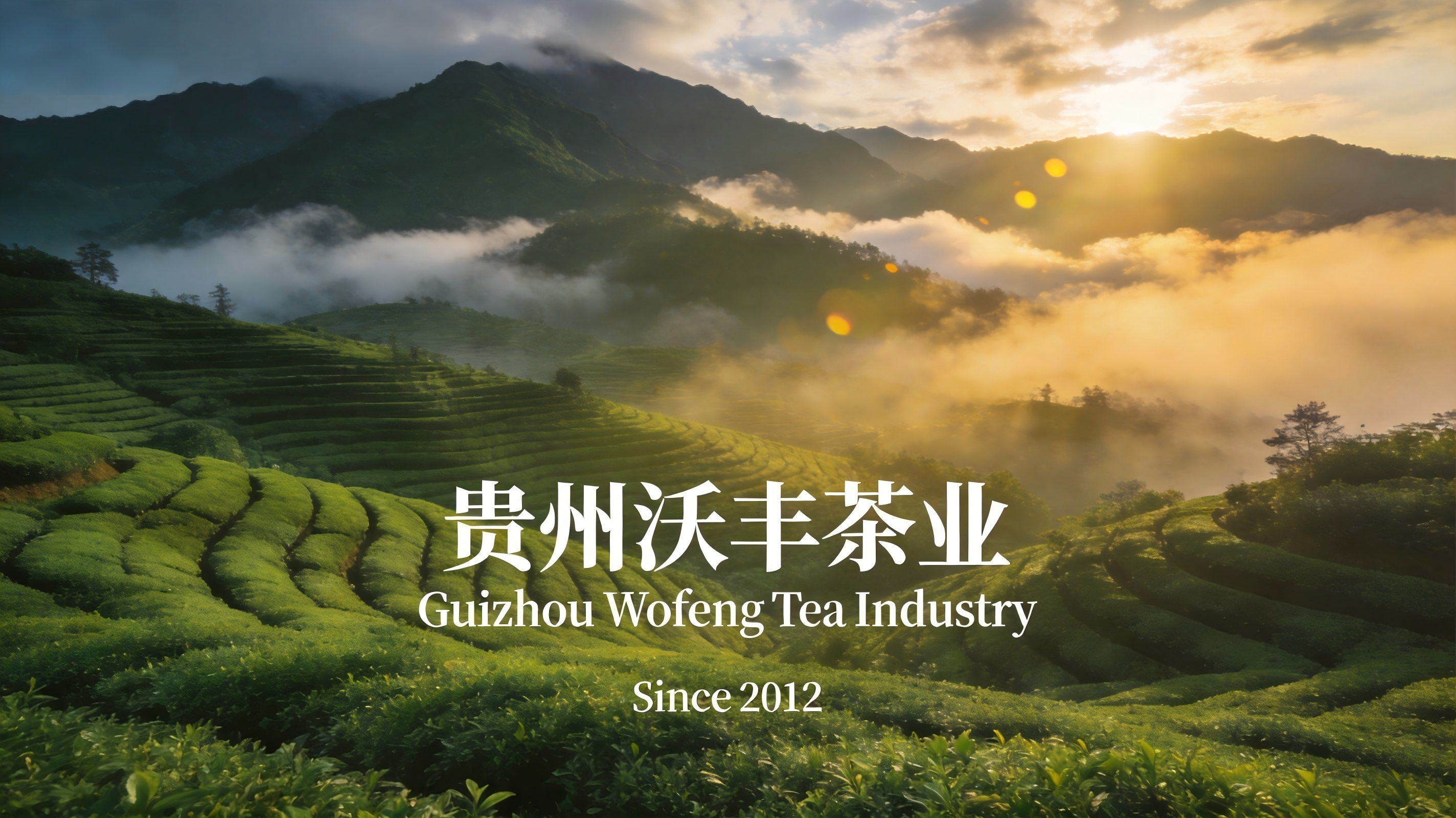视频封面.jpg