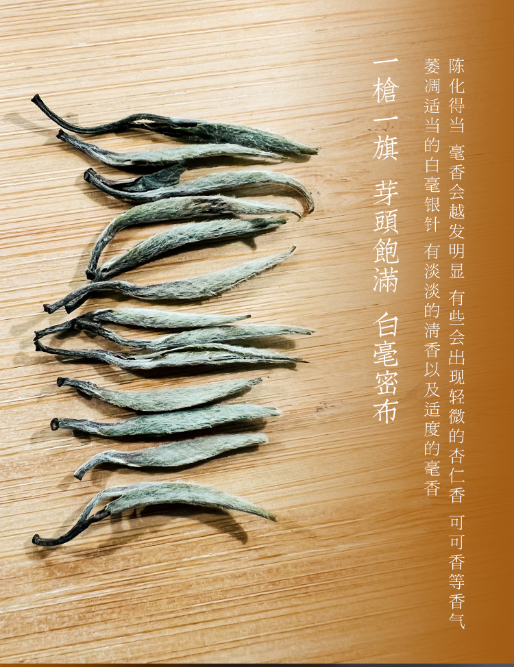 白毫银针_02